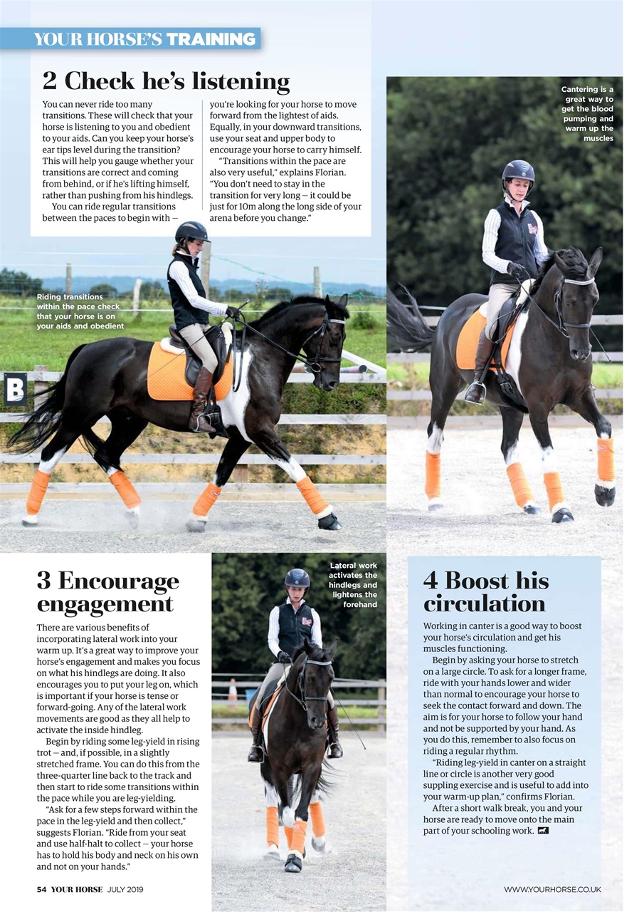 Your Horse Preview Pages