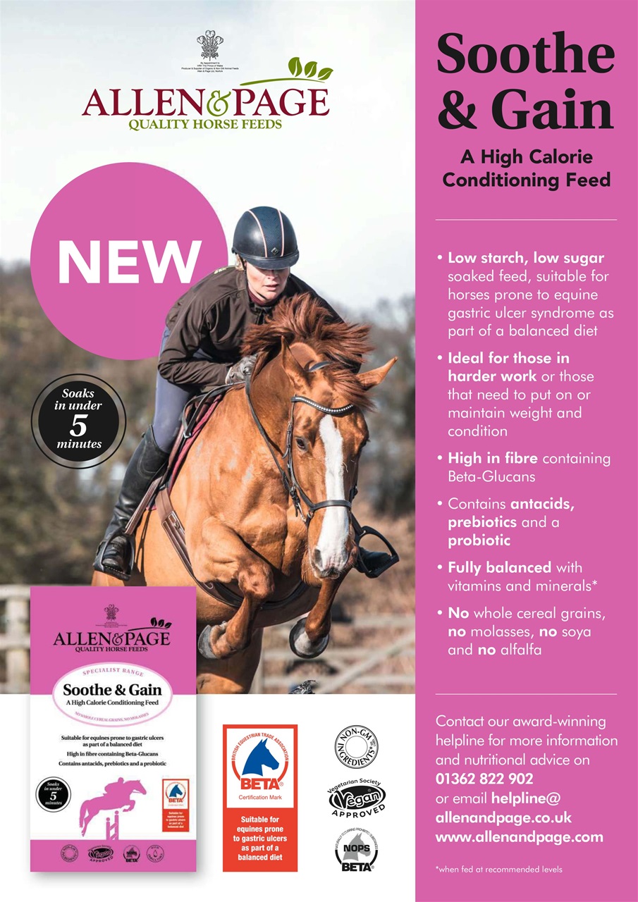 Your Horse Preview Pages