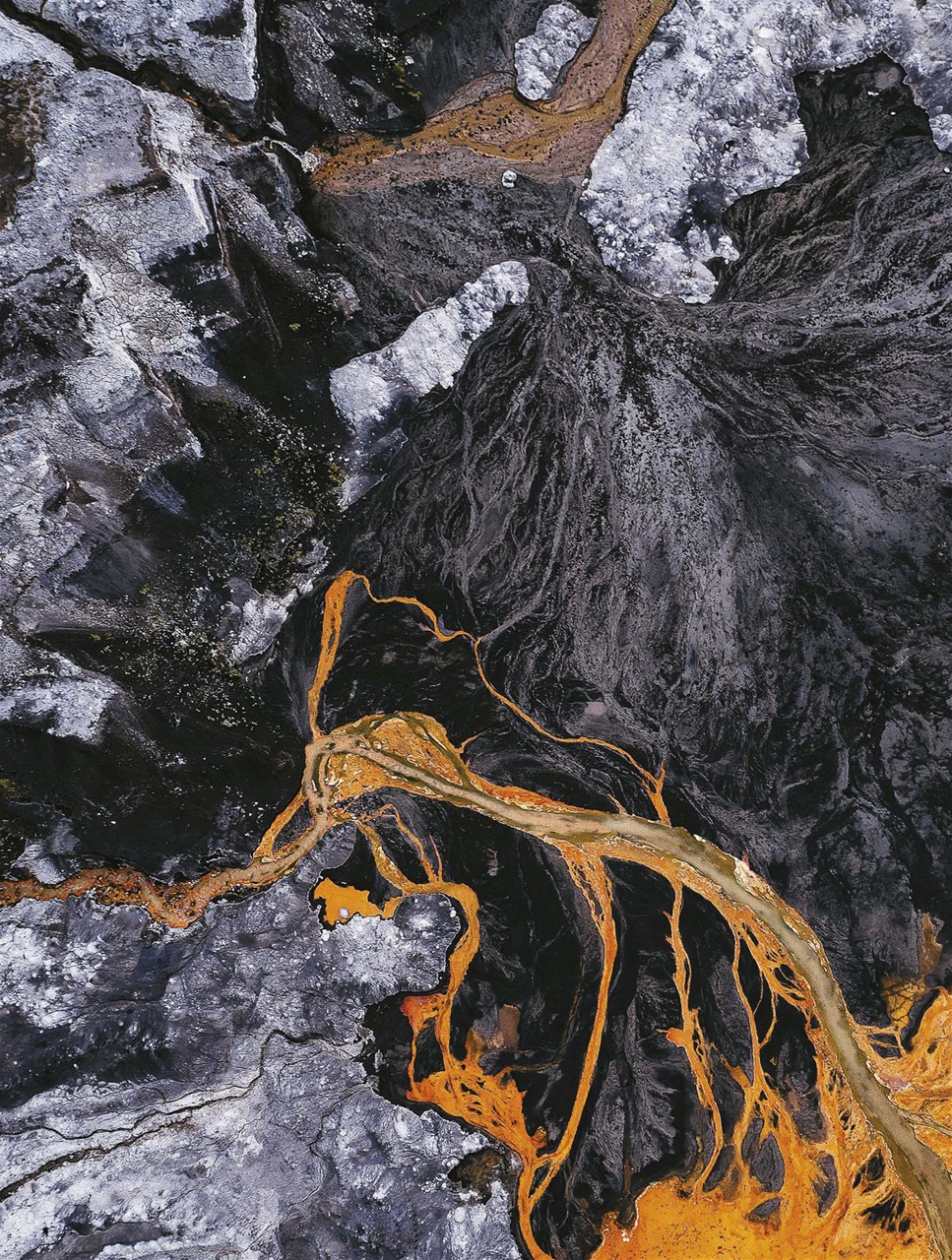 BBC Science Focus Magazine Preview Pages