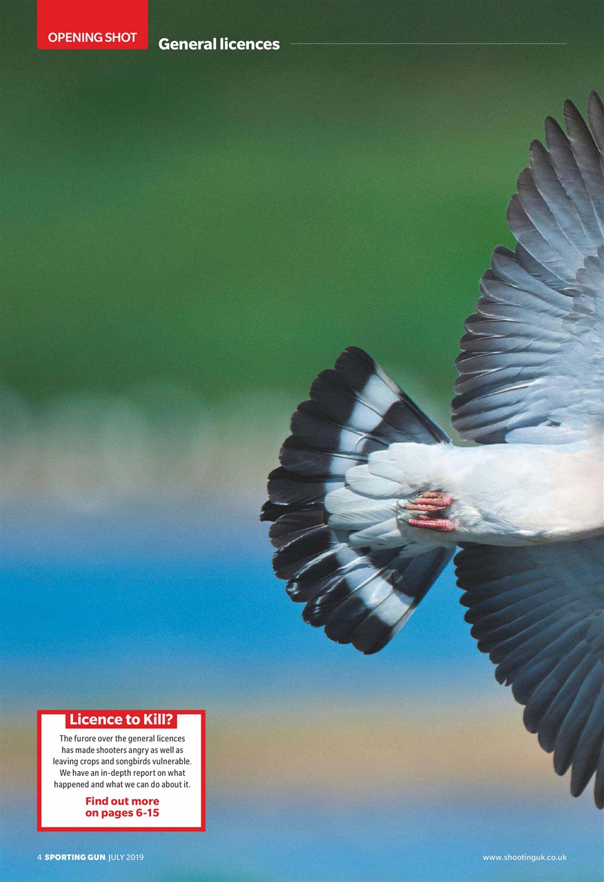 Sporting Gun Preview Pages