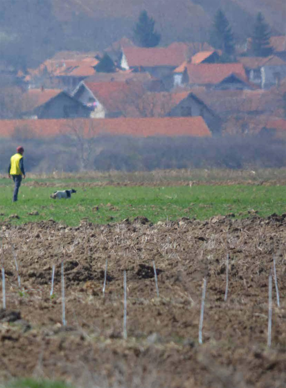 La Gazzetta Della Cinofilia Venatoria Preview Pages
