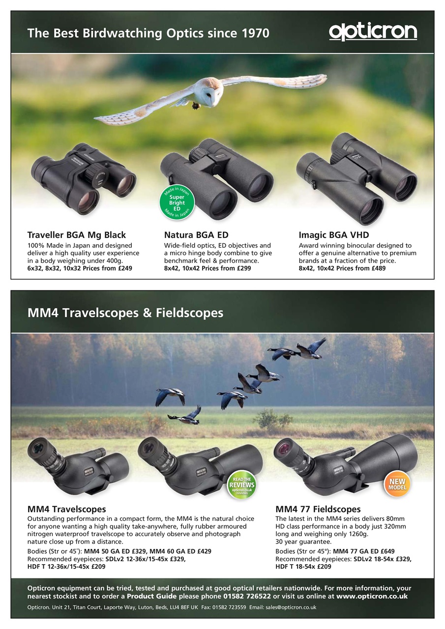 Bird Watching Preview Pages