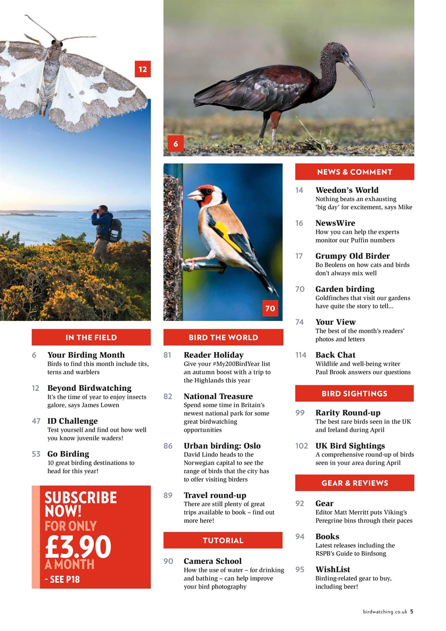 Bird Watching Preview Pages