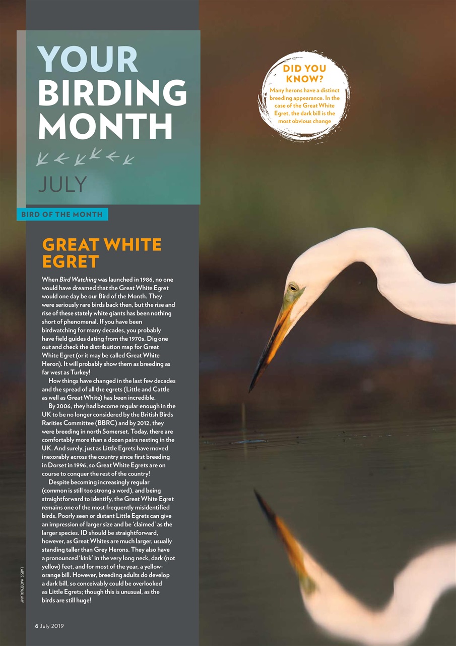 Bird Watching Preview Pages