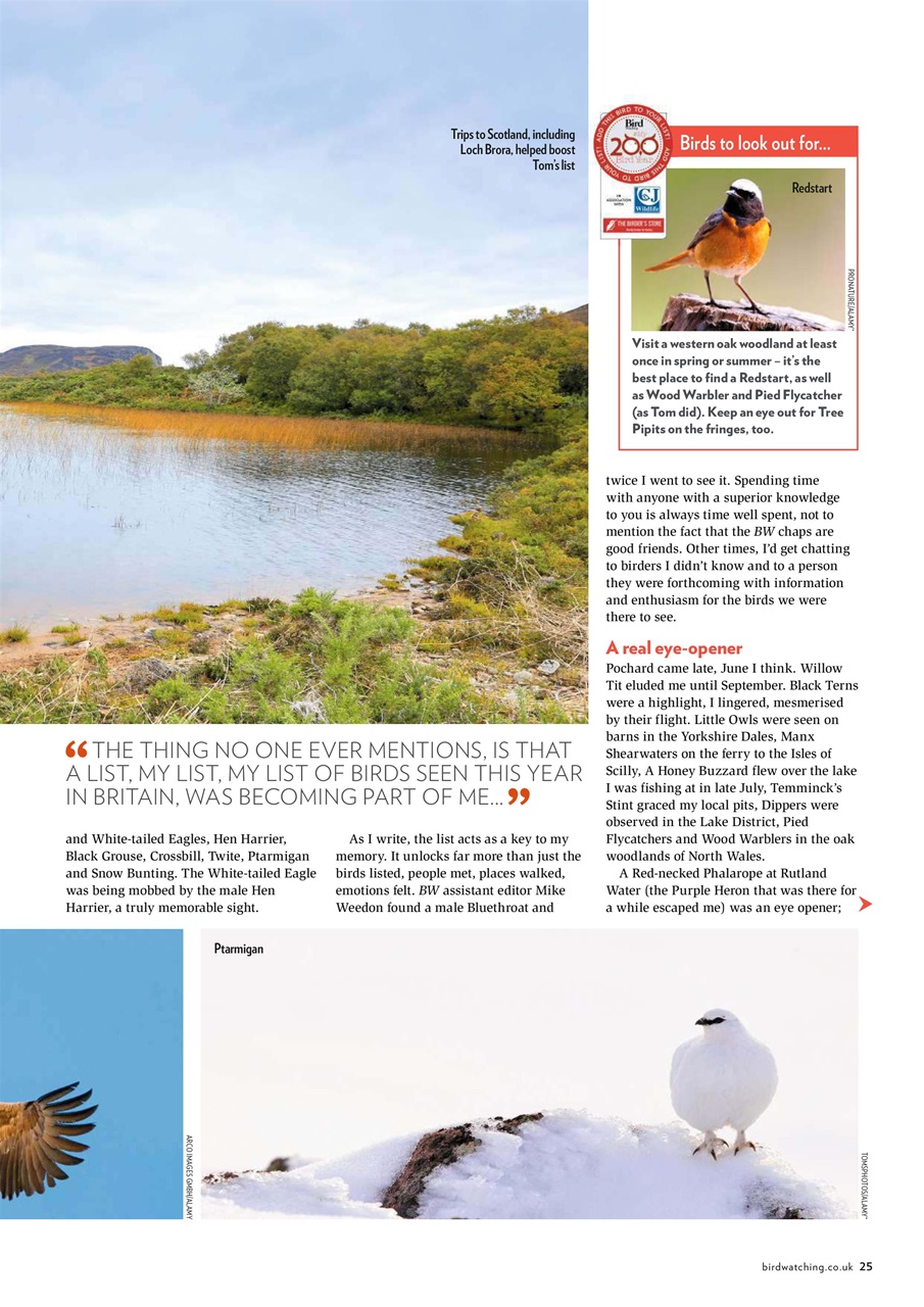 Bird Watching Preview Pages