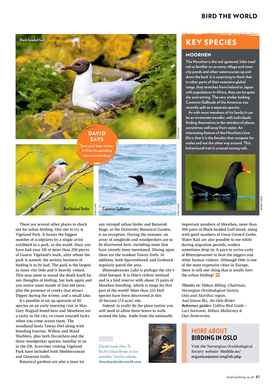 Bird Watching Preview Pages