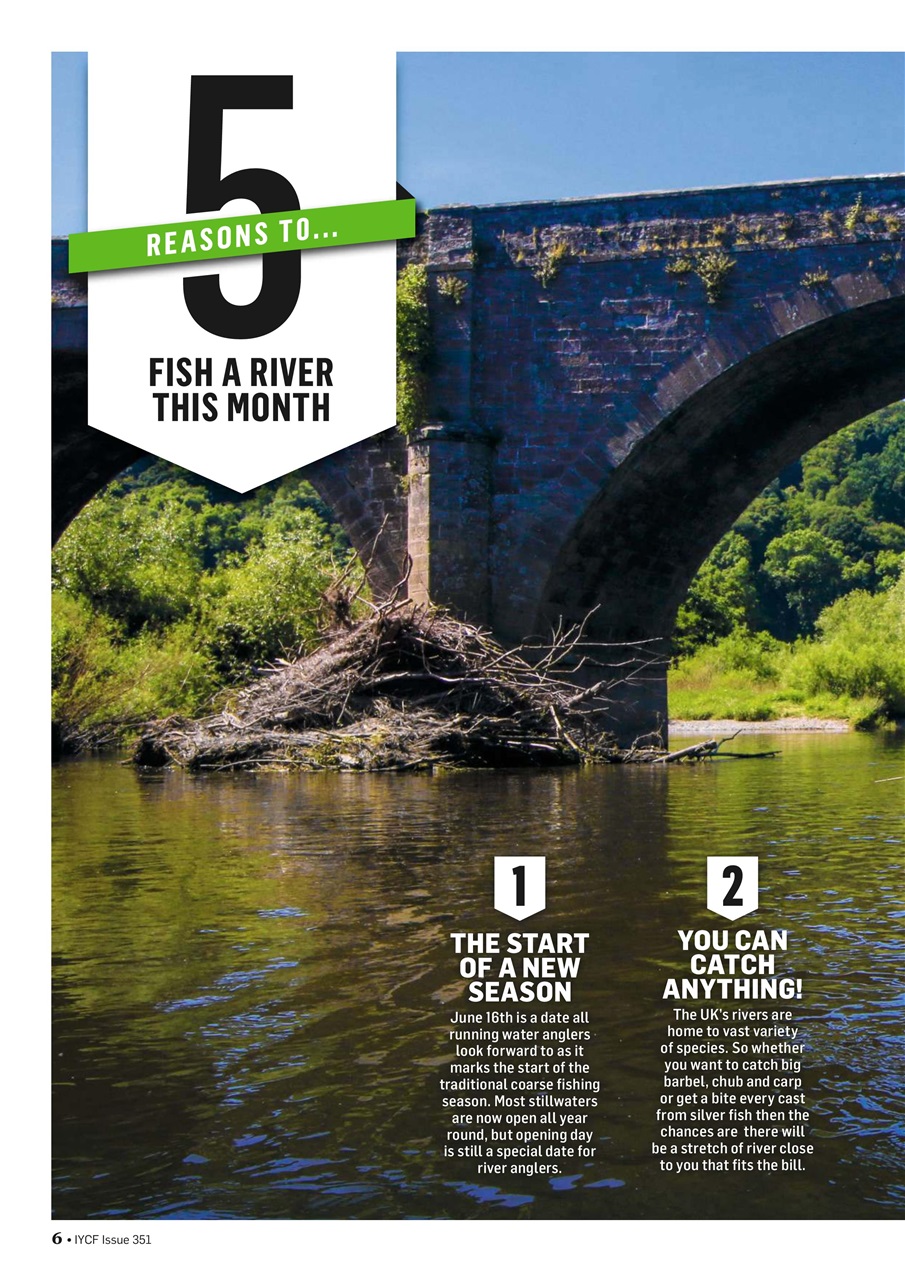 Improve Your Coarse Fishing Preview Pages