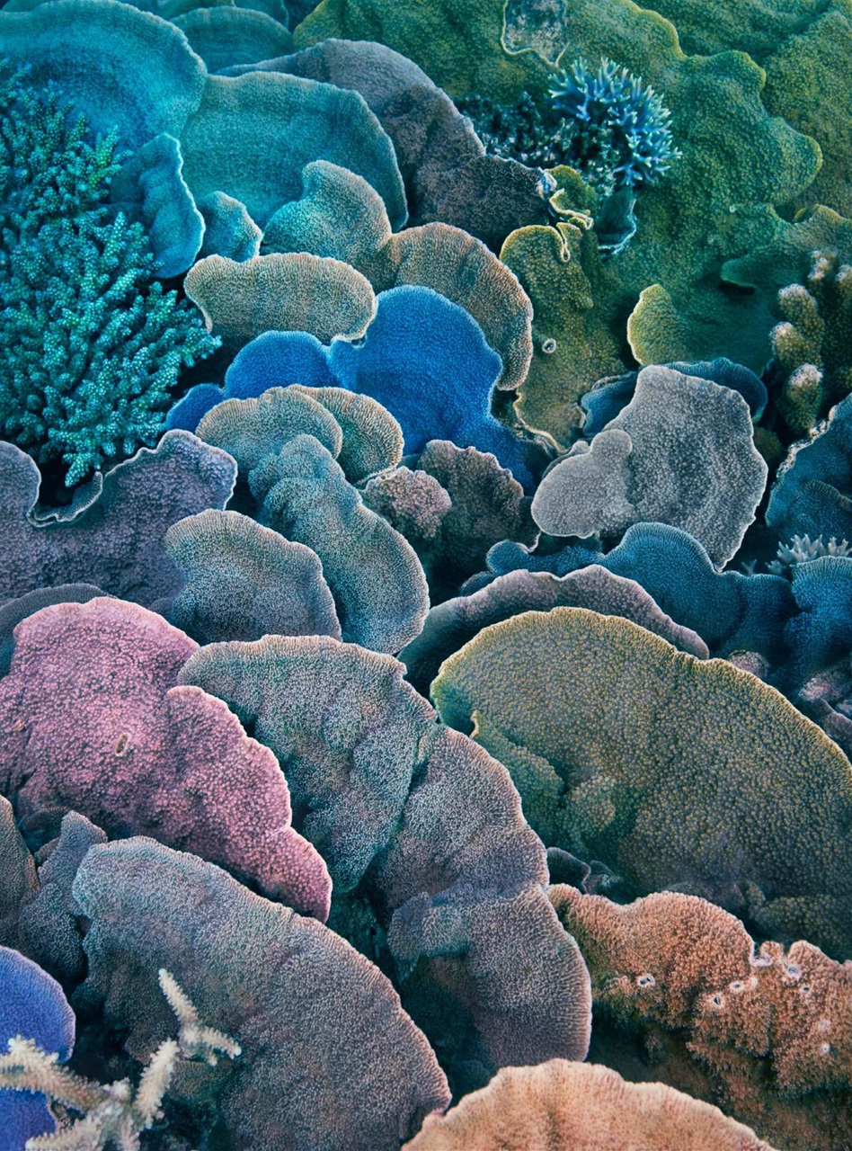 Digital Camera Magazine Preview Pages