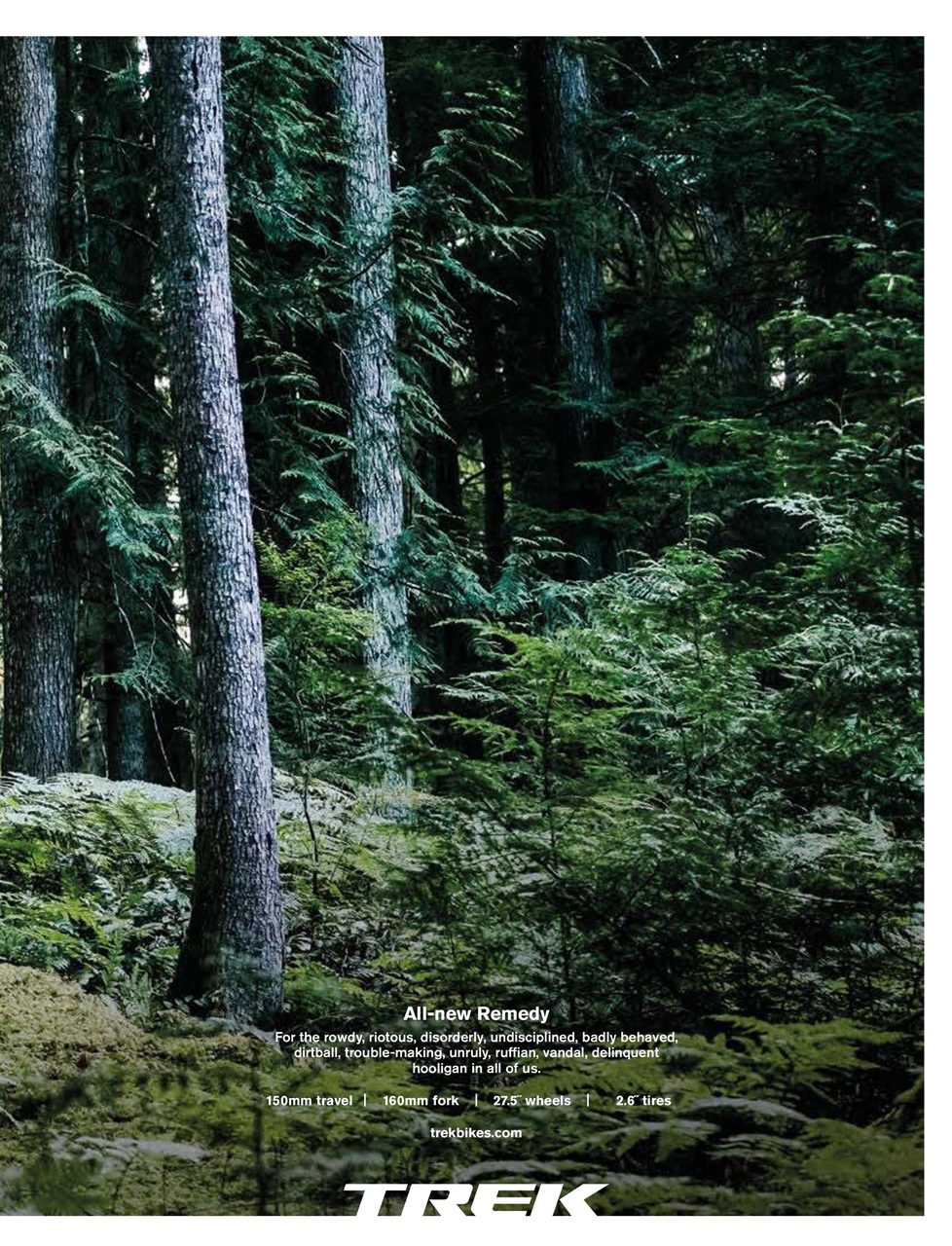 Singletrack Preview Pages