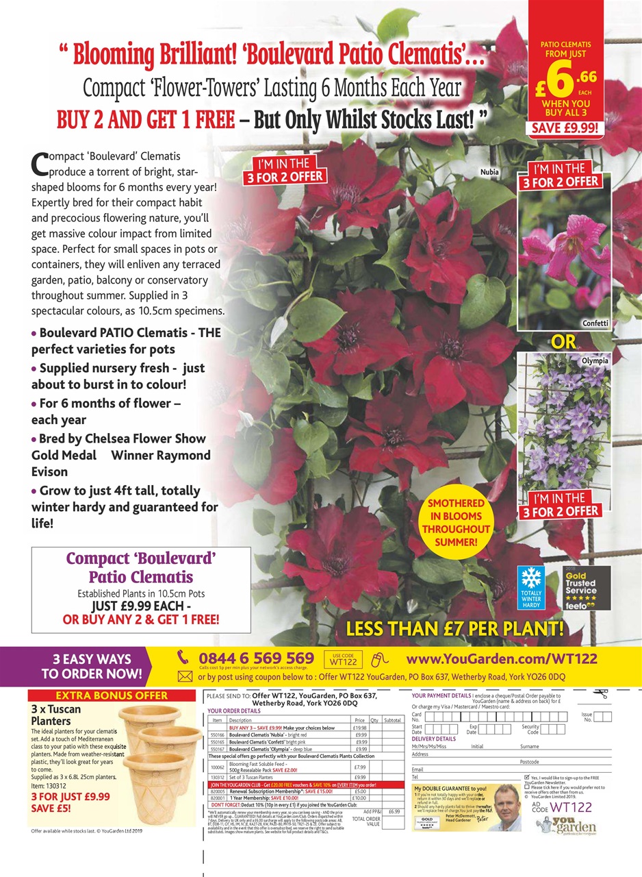 What's on TV Preview Pages