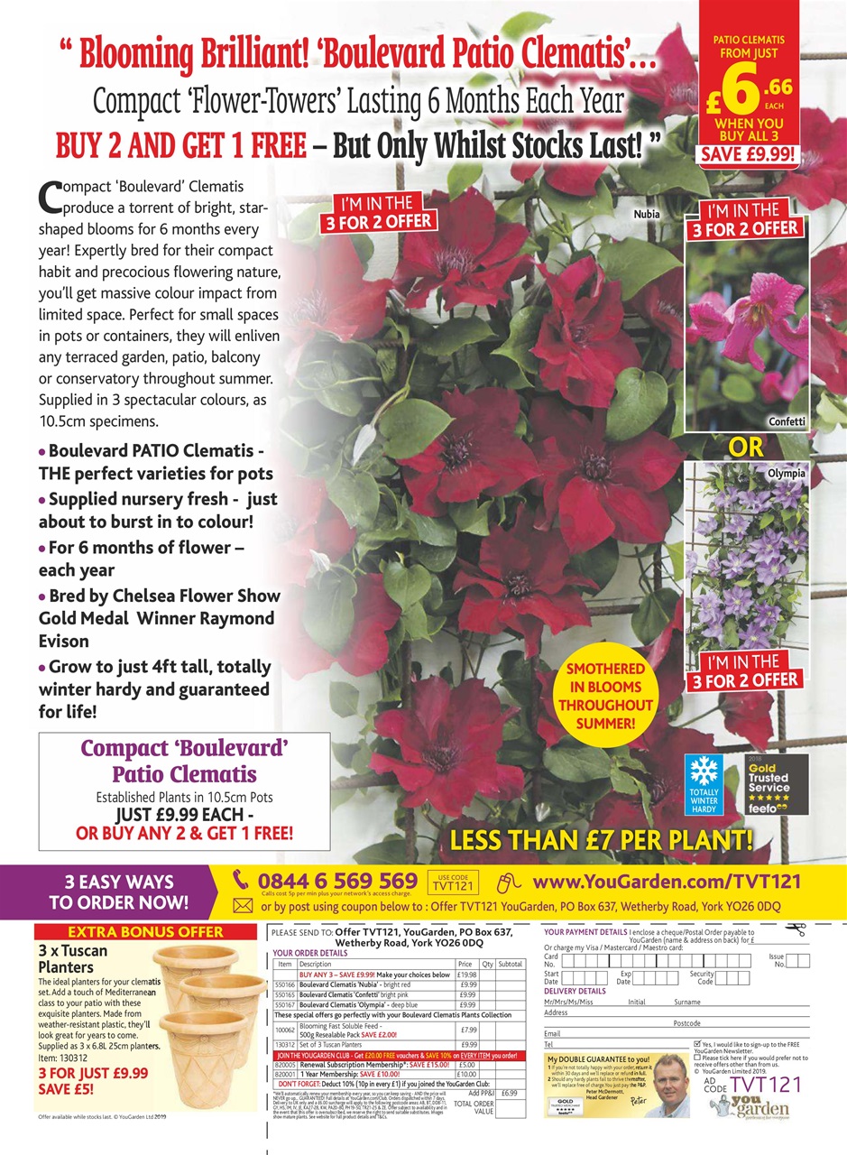 TV Times Preview Pages