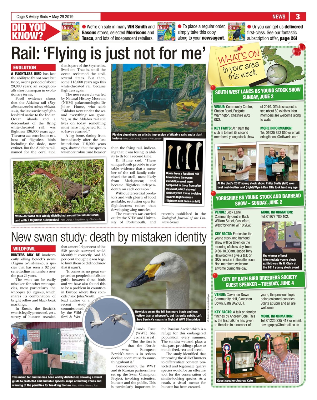 Cage & Aviary Birds Preview Pages