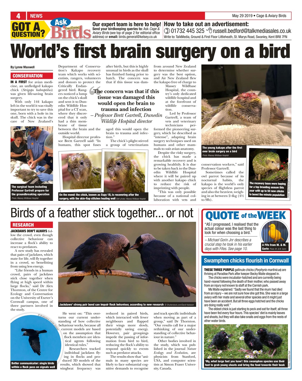 Cage & Aviary Birds Preview Pages