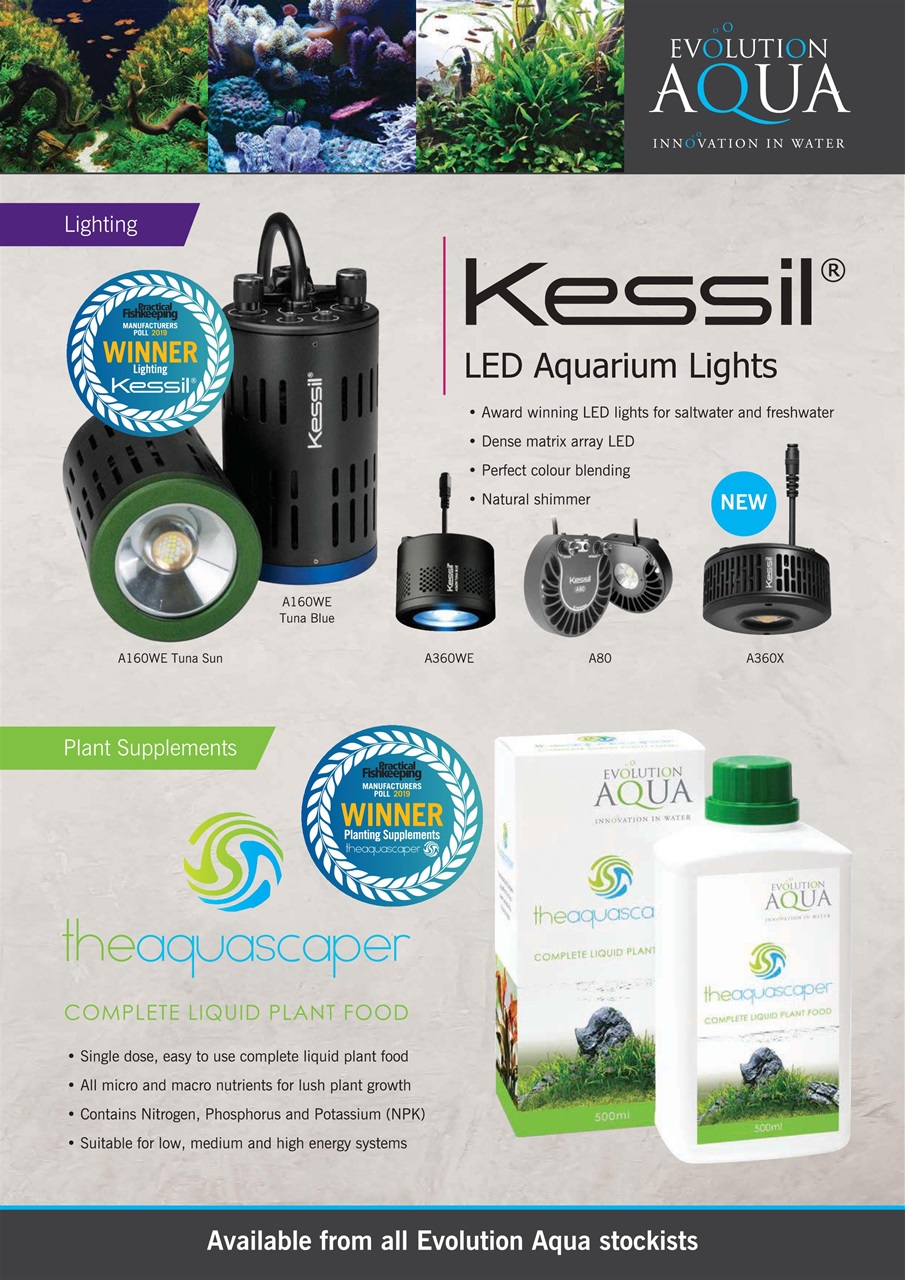 Practical Fishkeeping Preview Pages