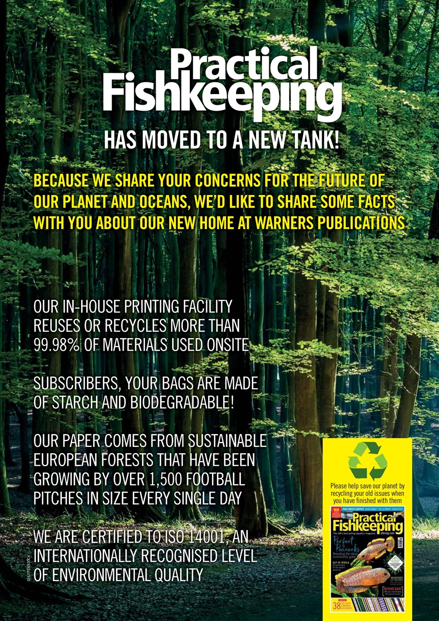 Practical Fishkeeping Preview Pages