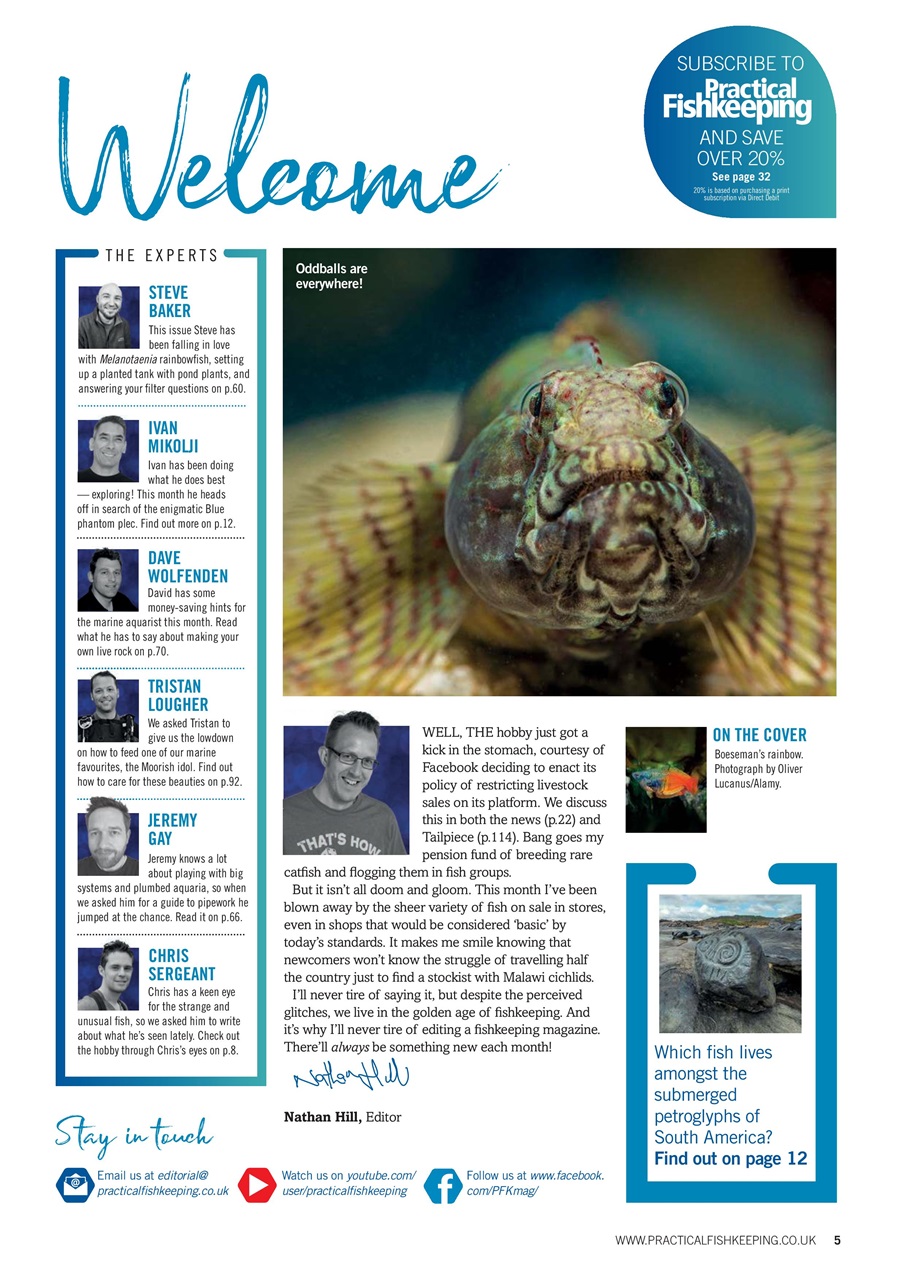 Practical Fishkeeping Preview Pages