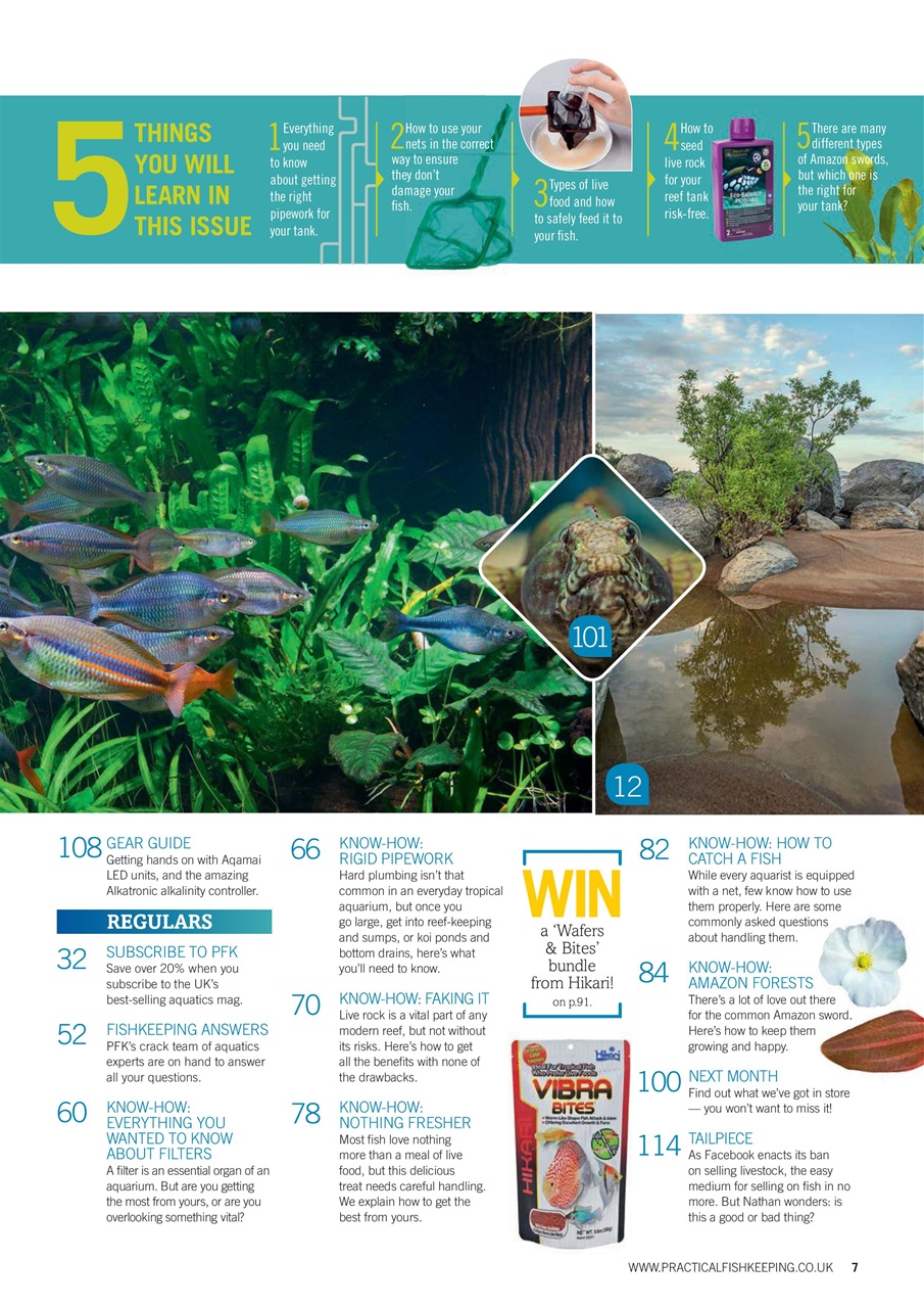 Practical Fishkeeping Preview Pages