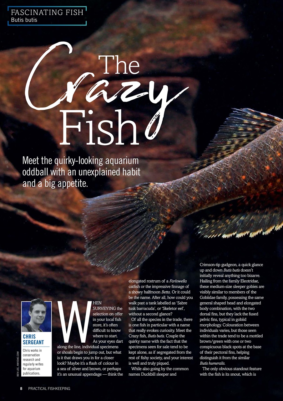 Practical Fishkeeping Preview Pages