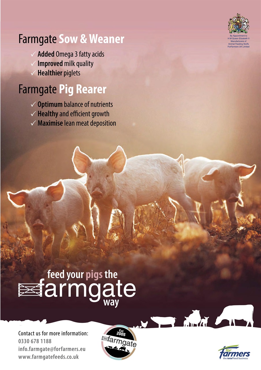 The Country Smallholder Preview Pages