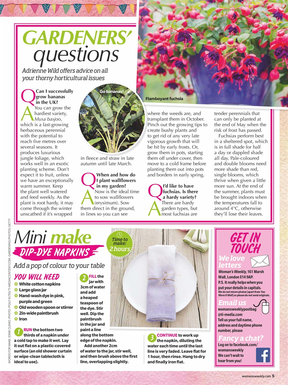 Woman's Weekly Preview Pages