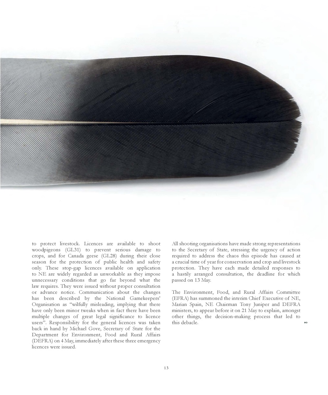 Fieldsports Journal Preview Pages