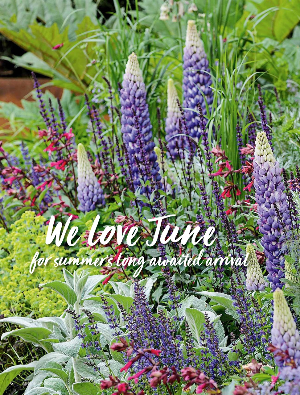 BBC Gardeners’ World Magazine Preview Pages