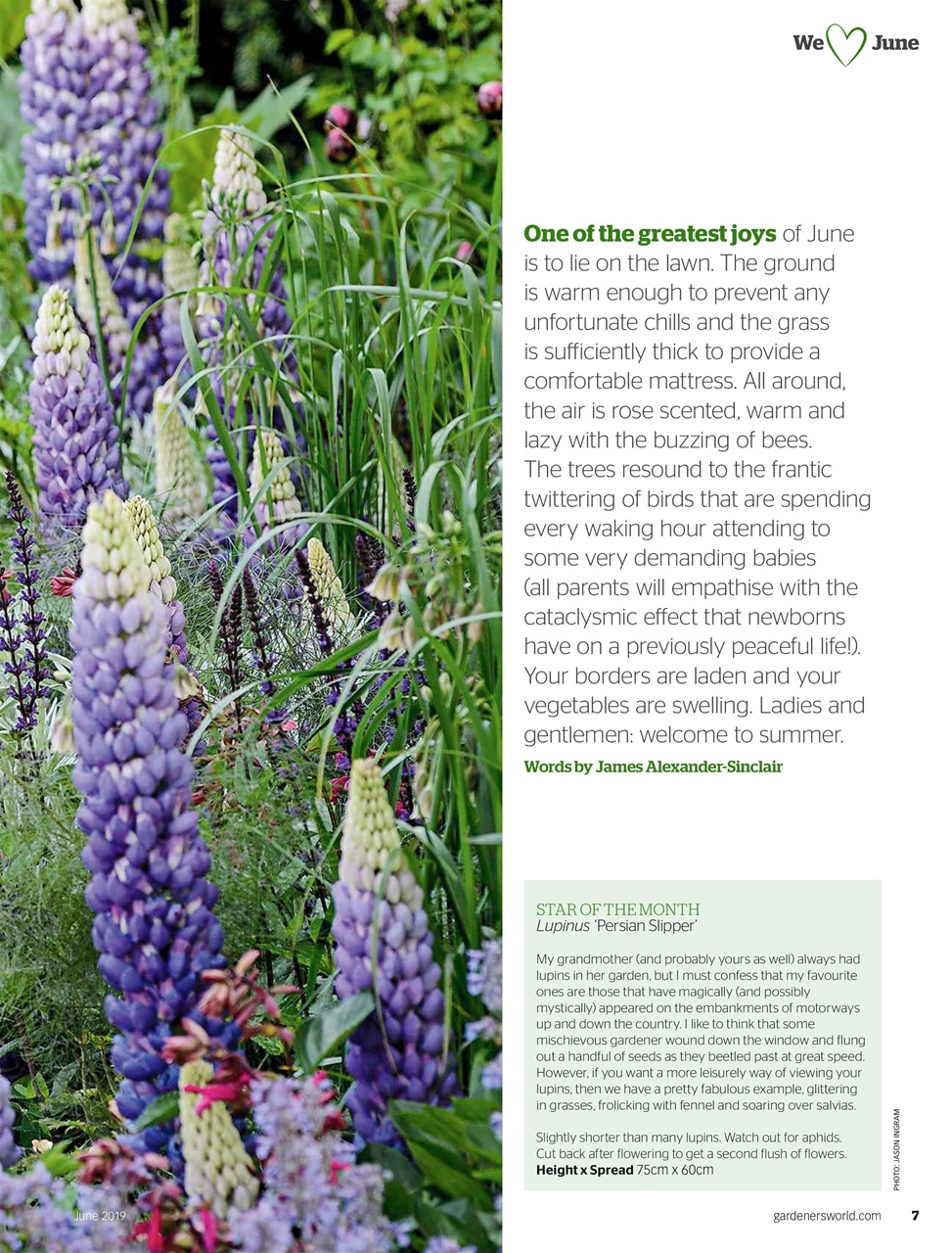 BBC Gardeners’ World Magazine Preview Pages
