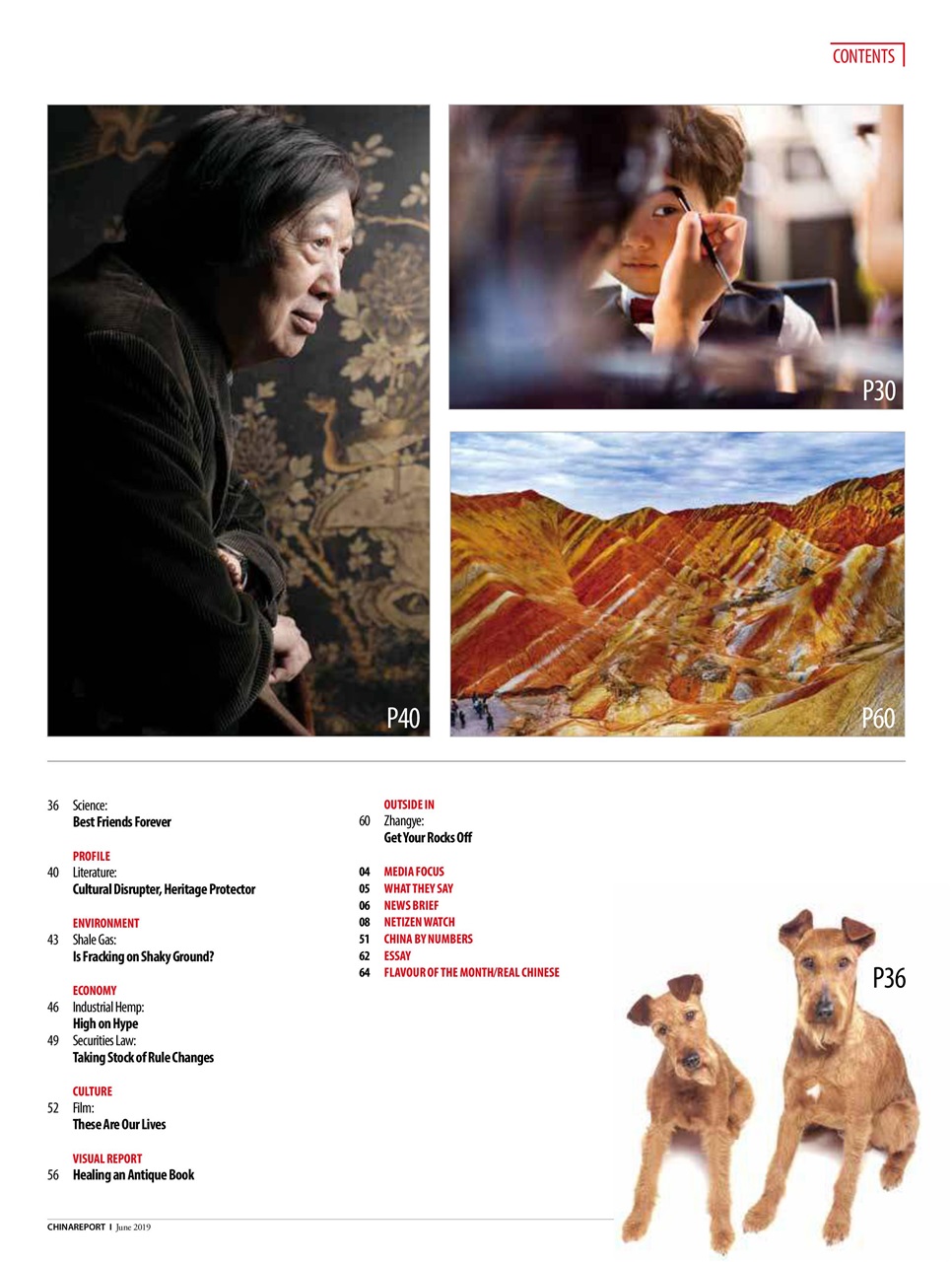 China Report Preview Pages