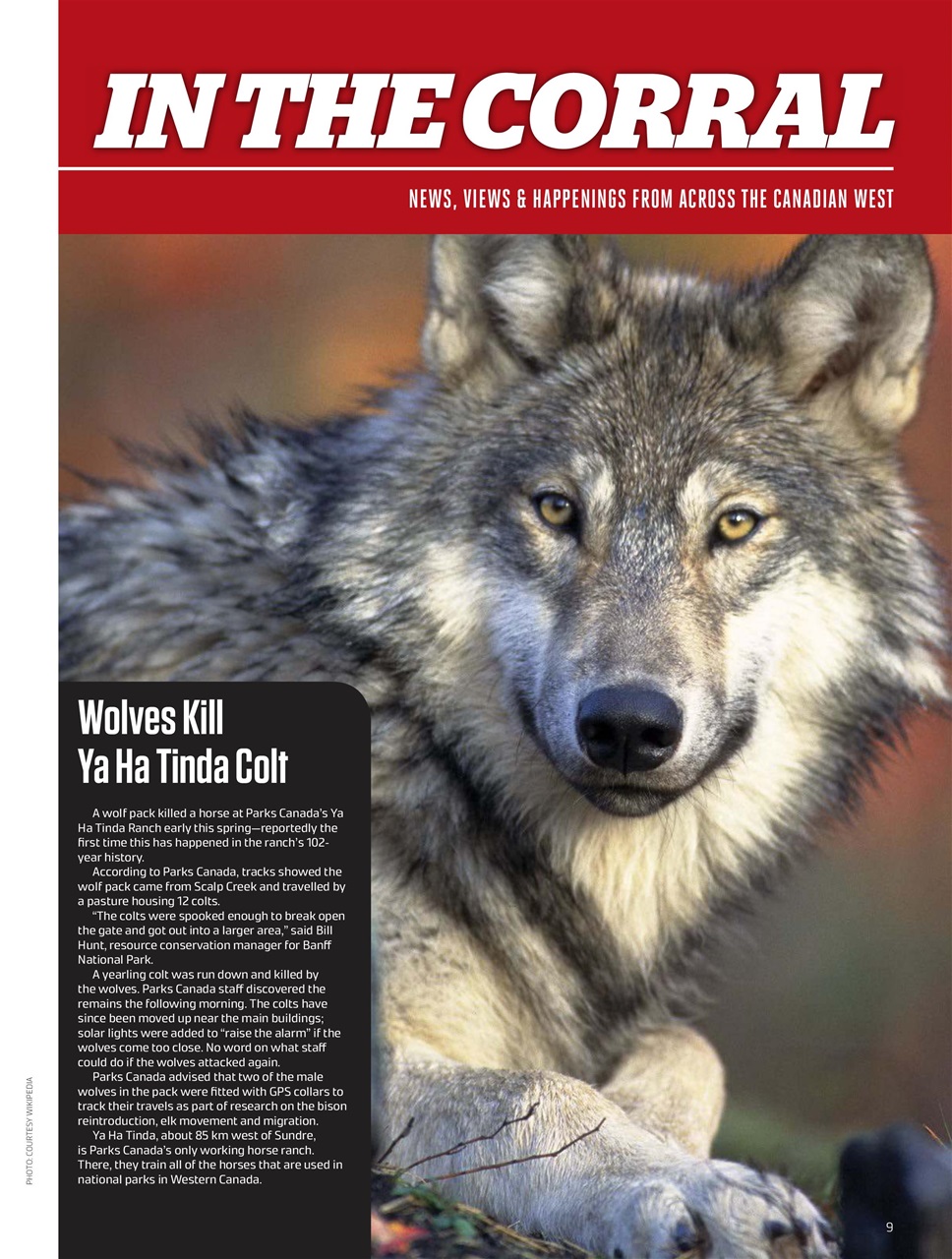 Canadian Cowboy Country Preview Pages