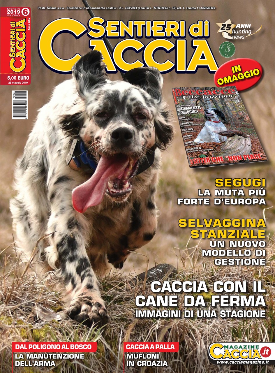 SENTIERI DI CACCIA Preview Pages