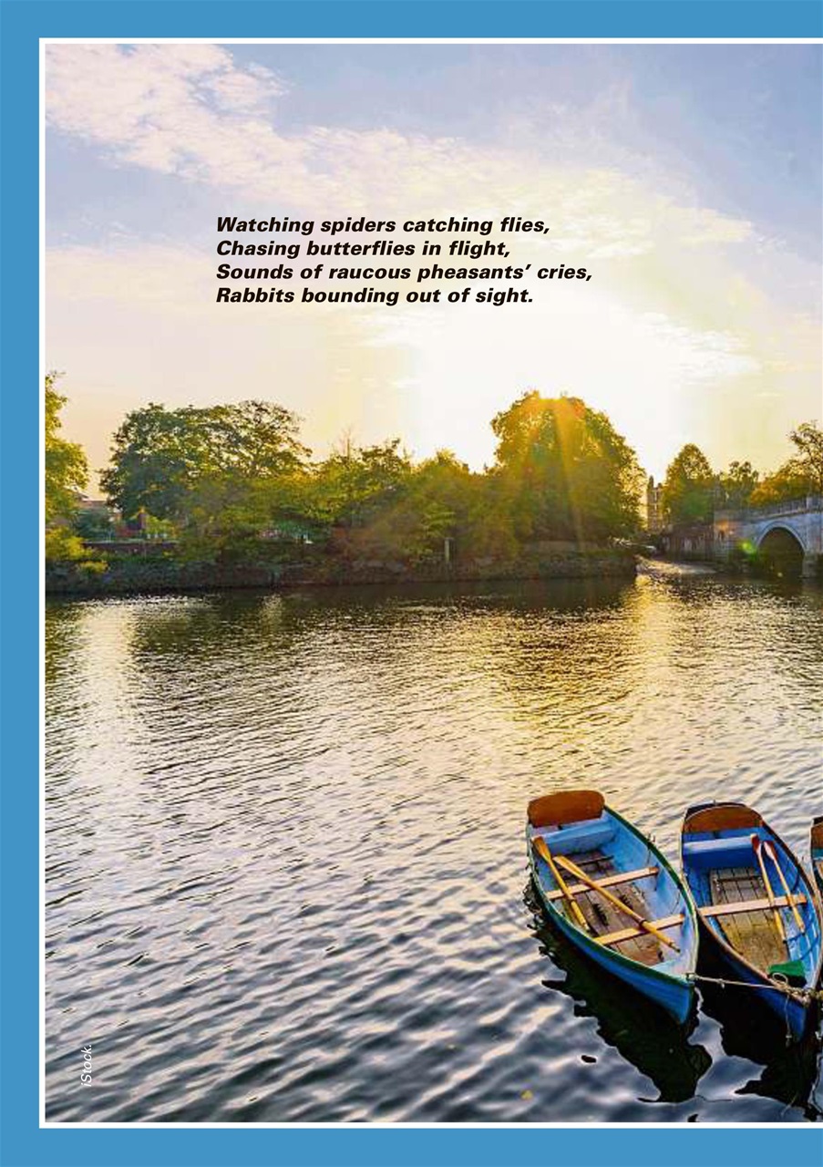 Evergreen Preview Pages