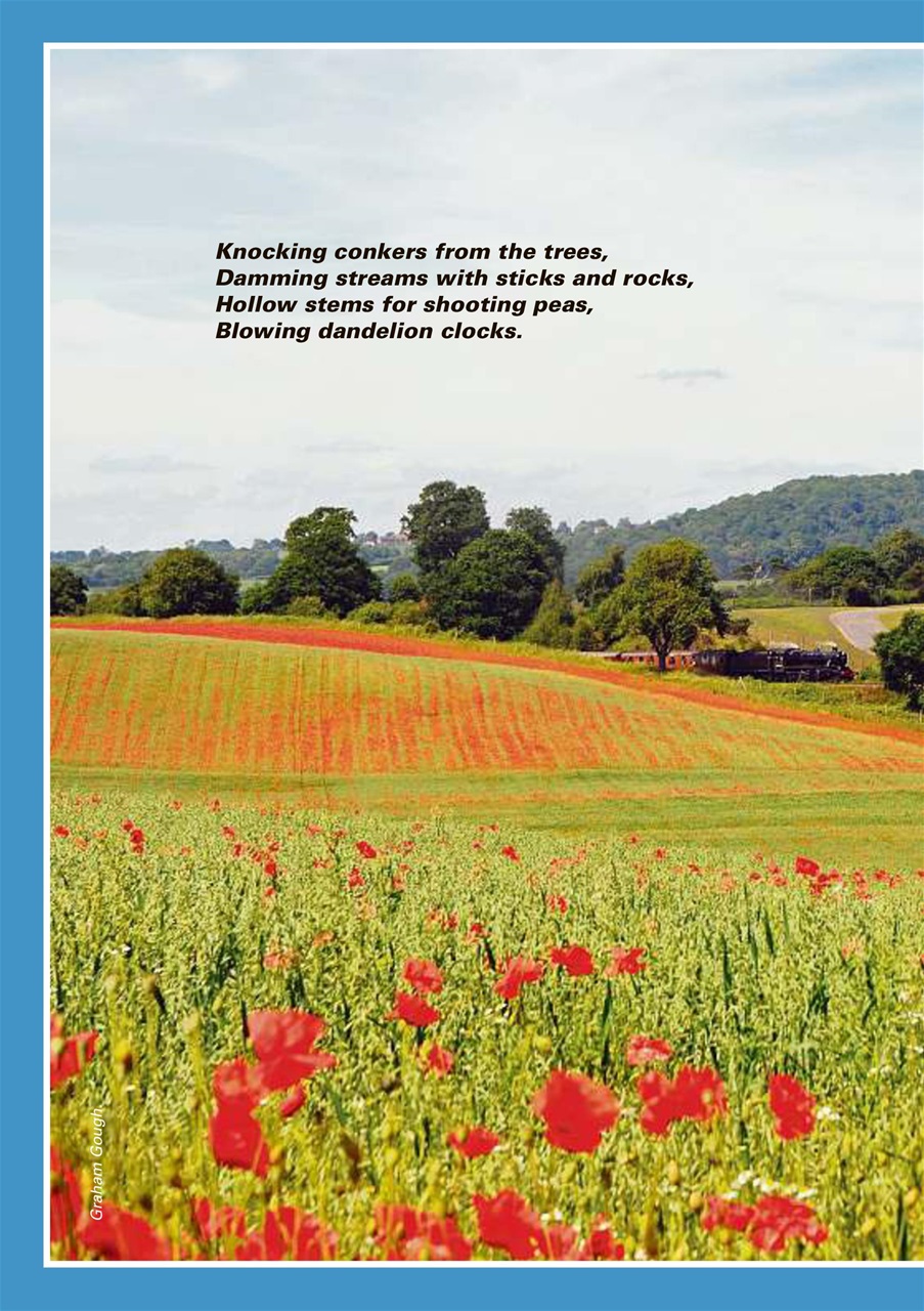 Evergreen Preview Pages