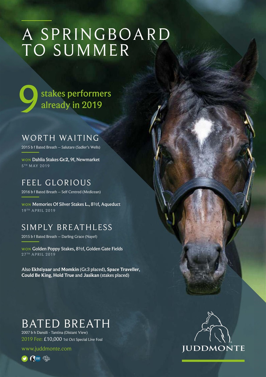 The Owner Breeder Preview Pages