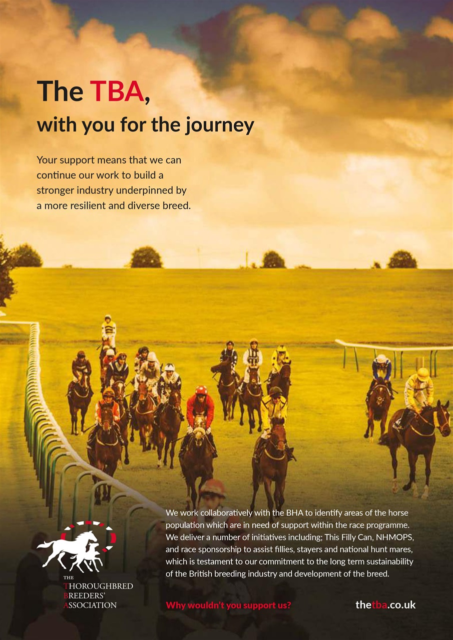 The Owner Breeder Preview Pages