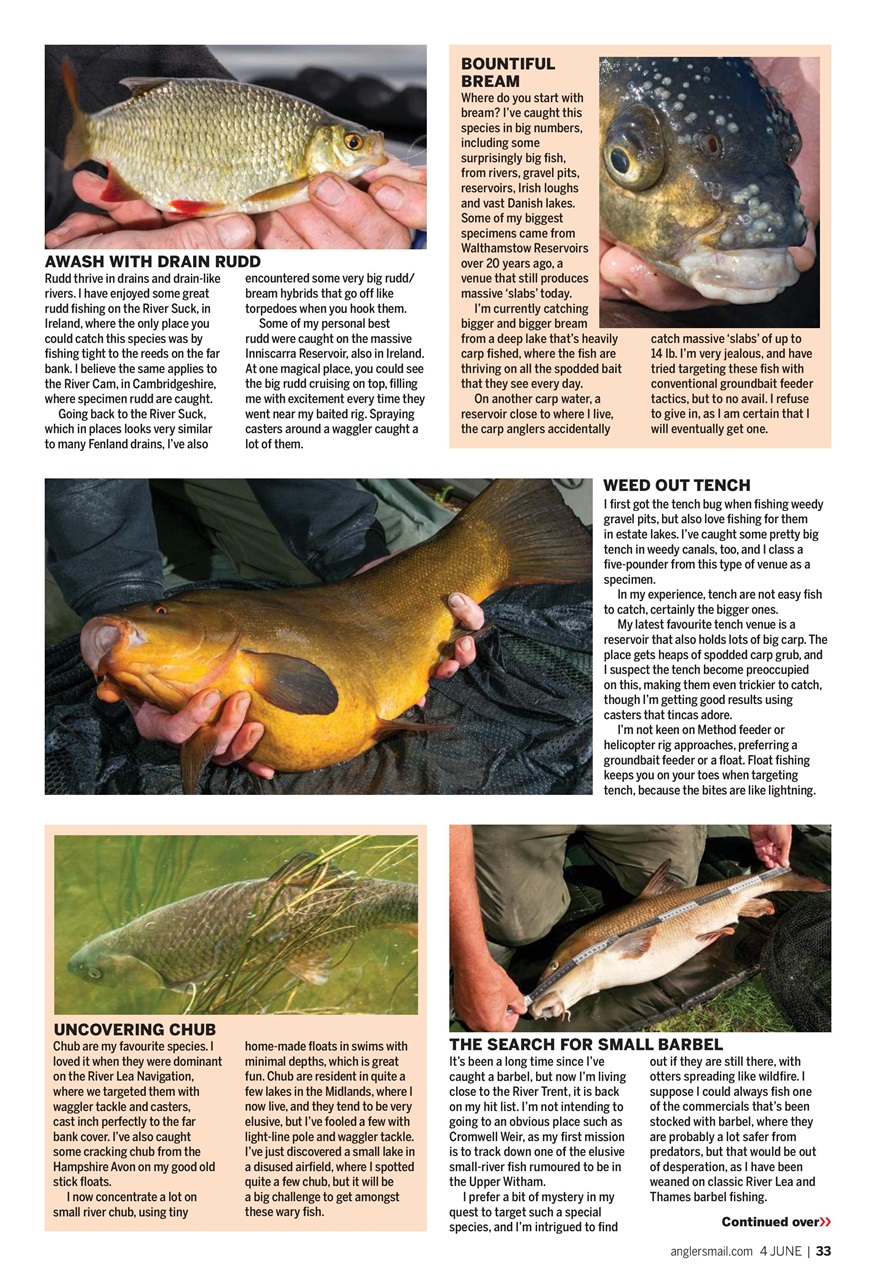 Anglers Mail Preview Pages