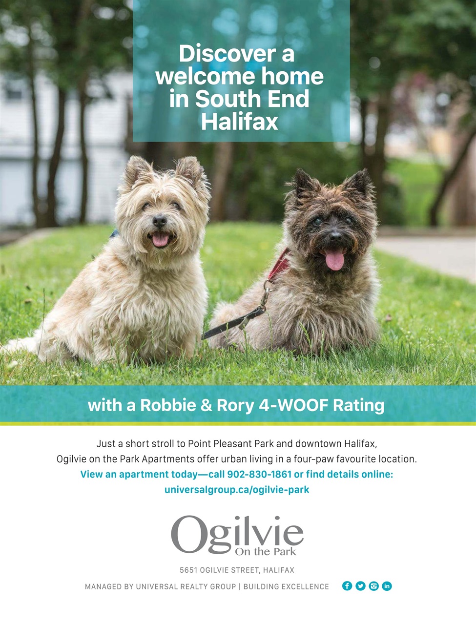 Halifax Magazine Preview Pages