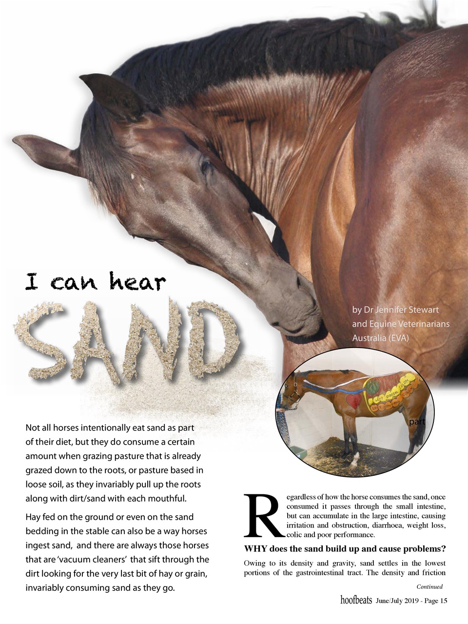 Hoofbeats Preview Pages