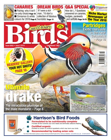 Cage & Aviary Birds issue 05/06/2019