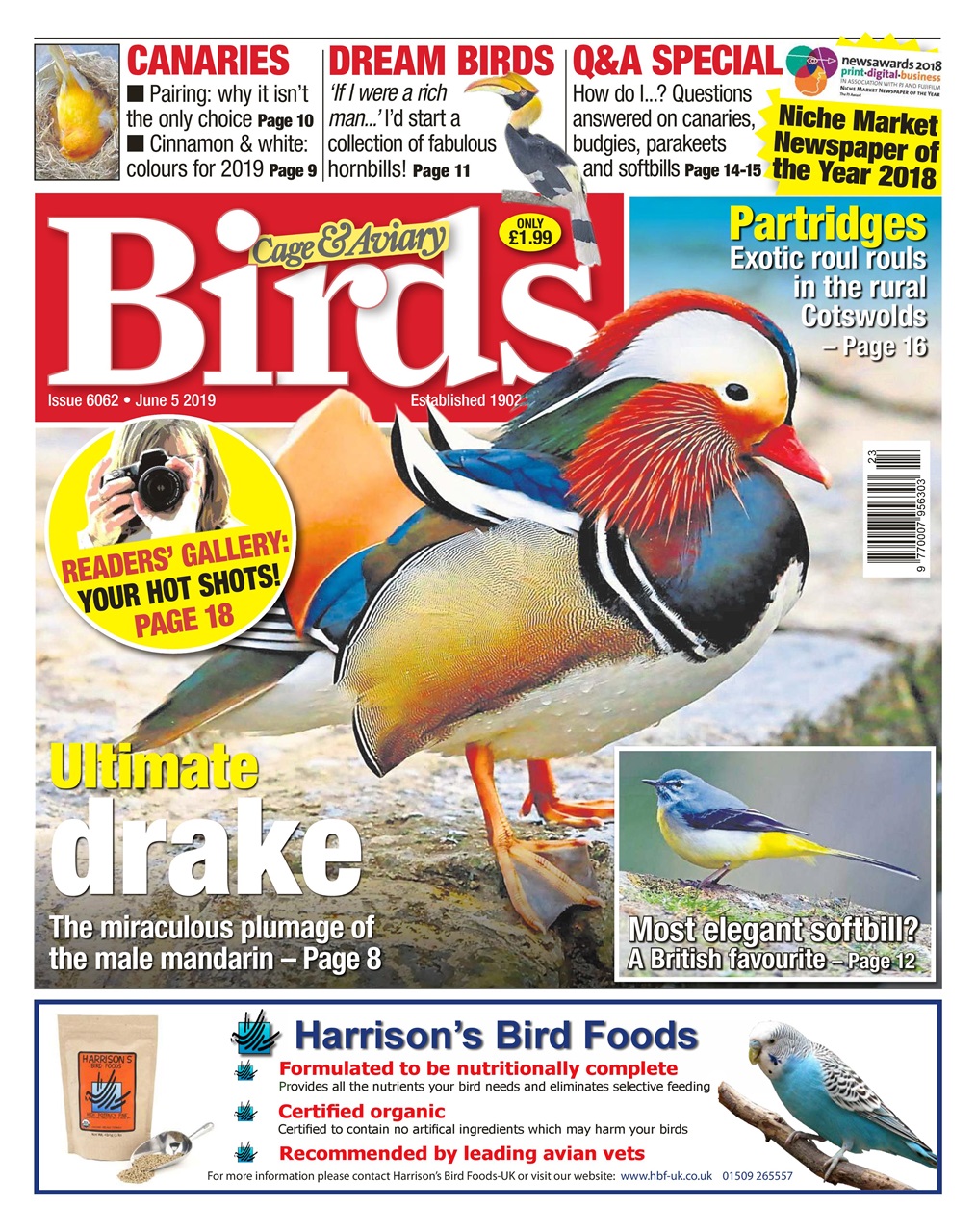 Cage & Aviary Birds Preview Pages