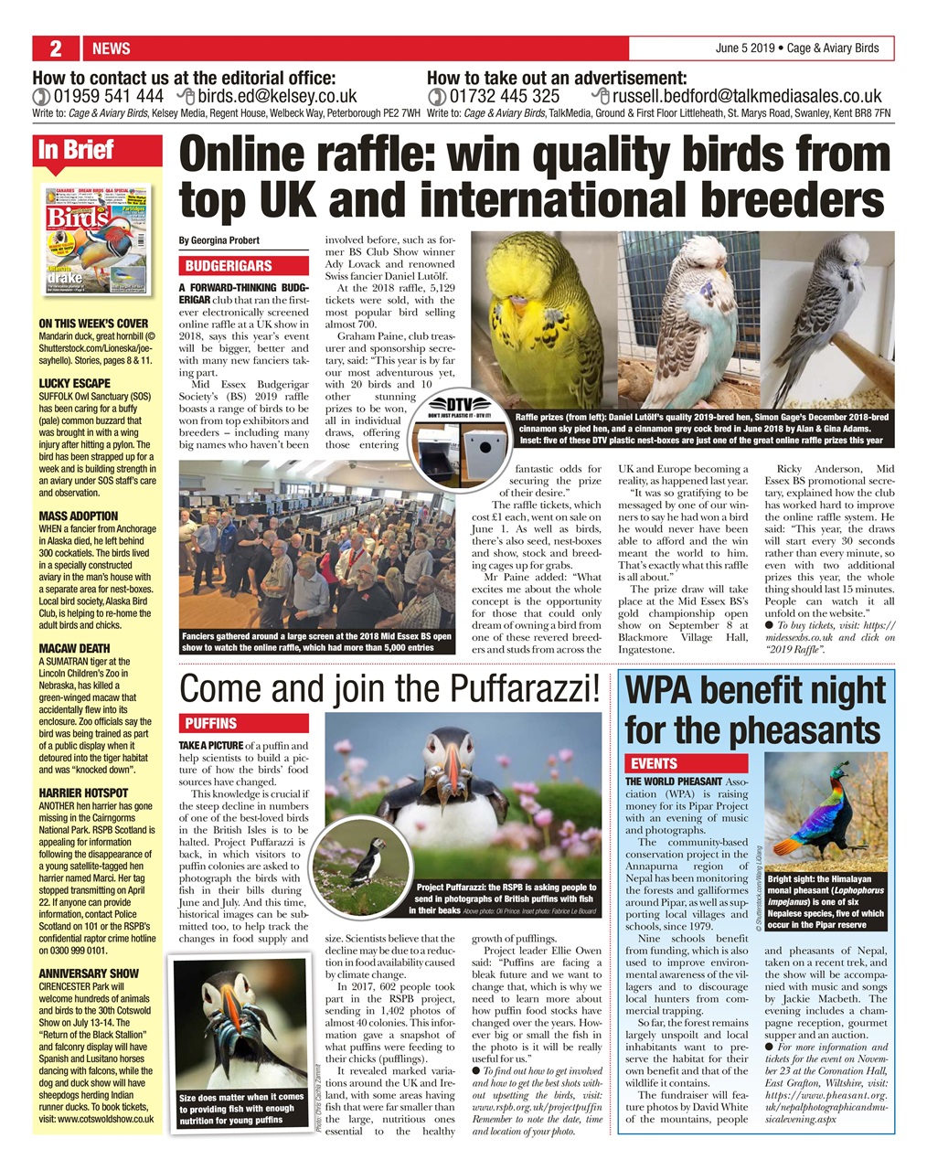 Cage & Aviary Birds Preview Pages