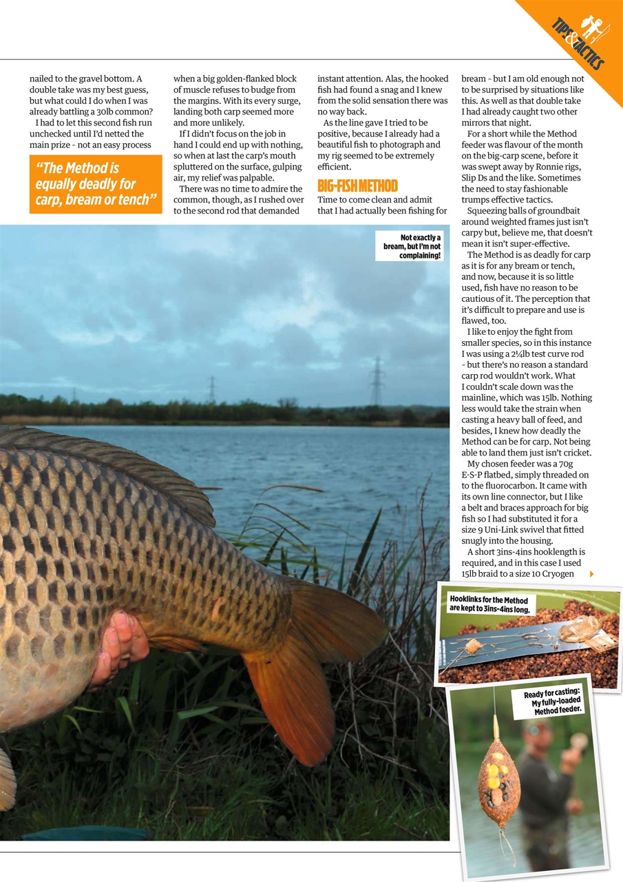 Angling Times Preview Pages