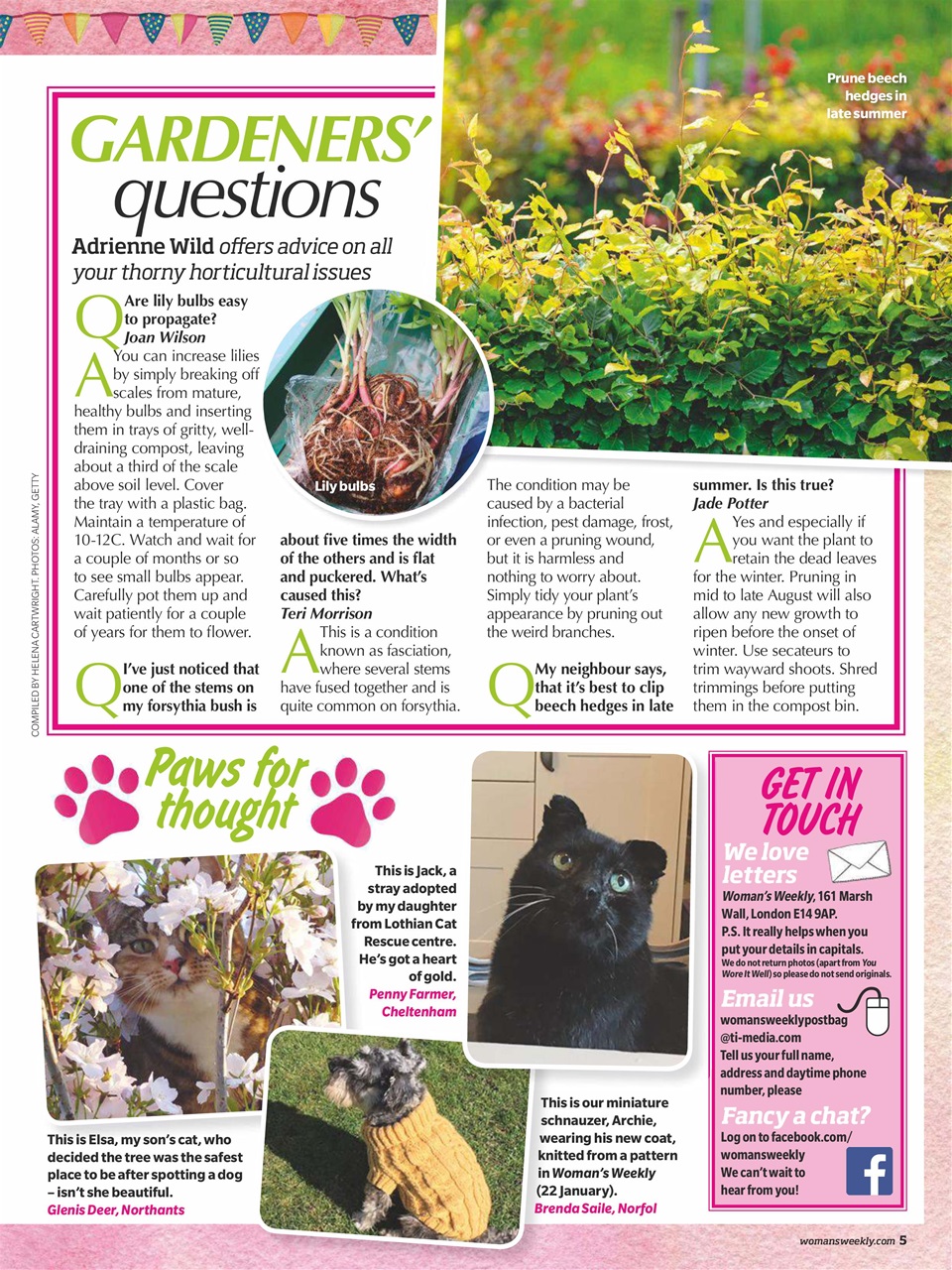 Woman's Weekly Preview Pages