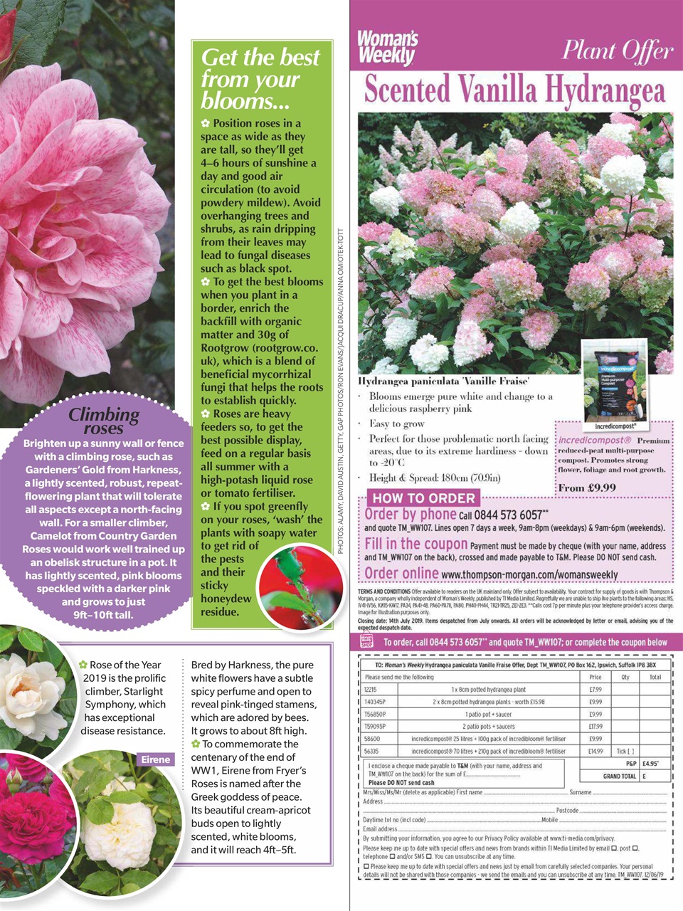 Woman's Weekly Preview Pages