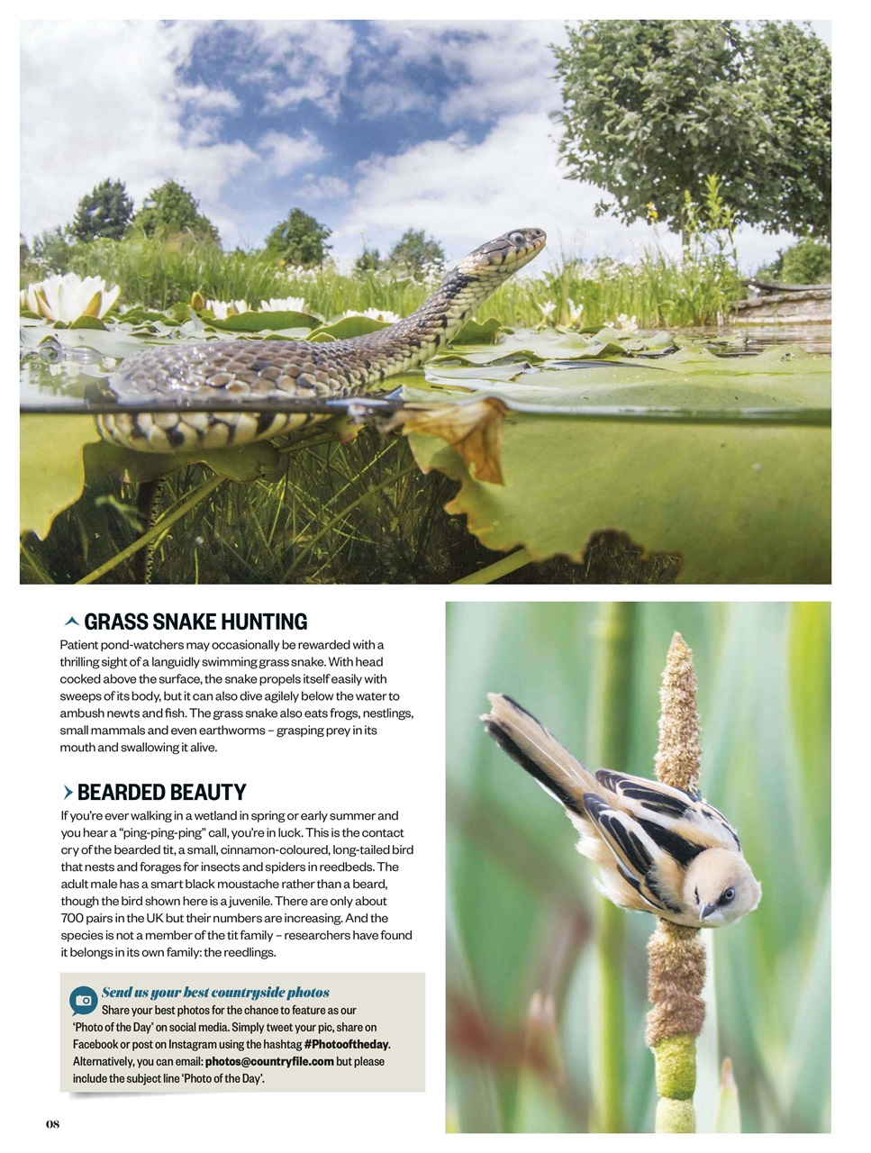 BBC Countryfile Magazine Preview Pages