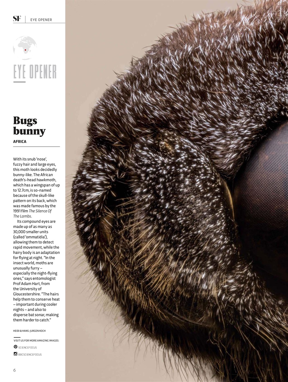 BBC Science Focus Magazine Preview Pages