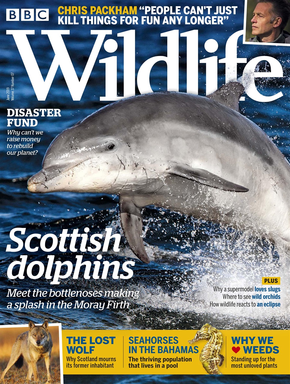 BBC Wildlife Magazine Preview Pages