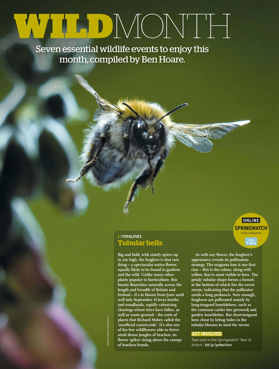 BBC Wildlife Magazine Preview Pages