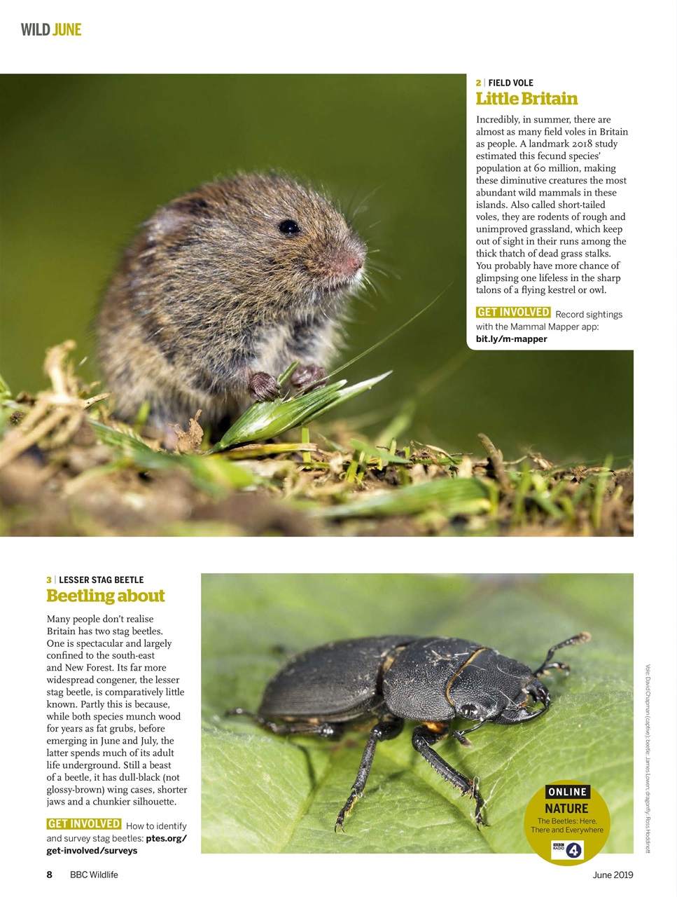 BBC Wildlife Magazine Preview Pages