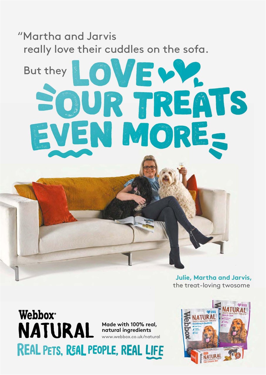 Dogs Monthly Preview Pages