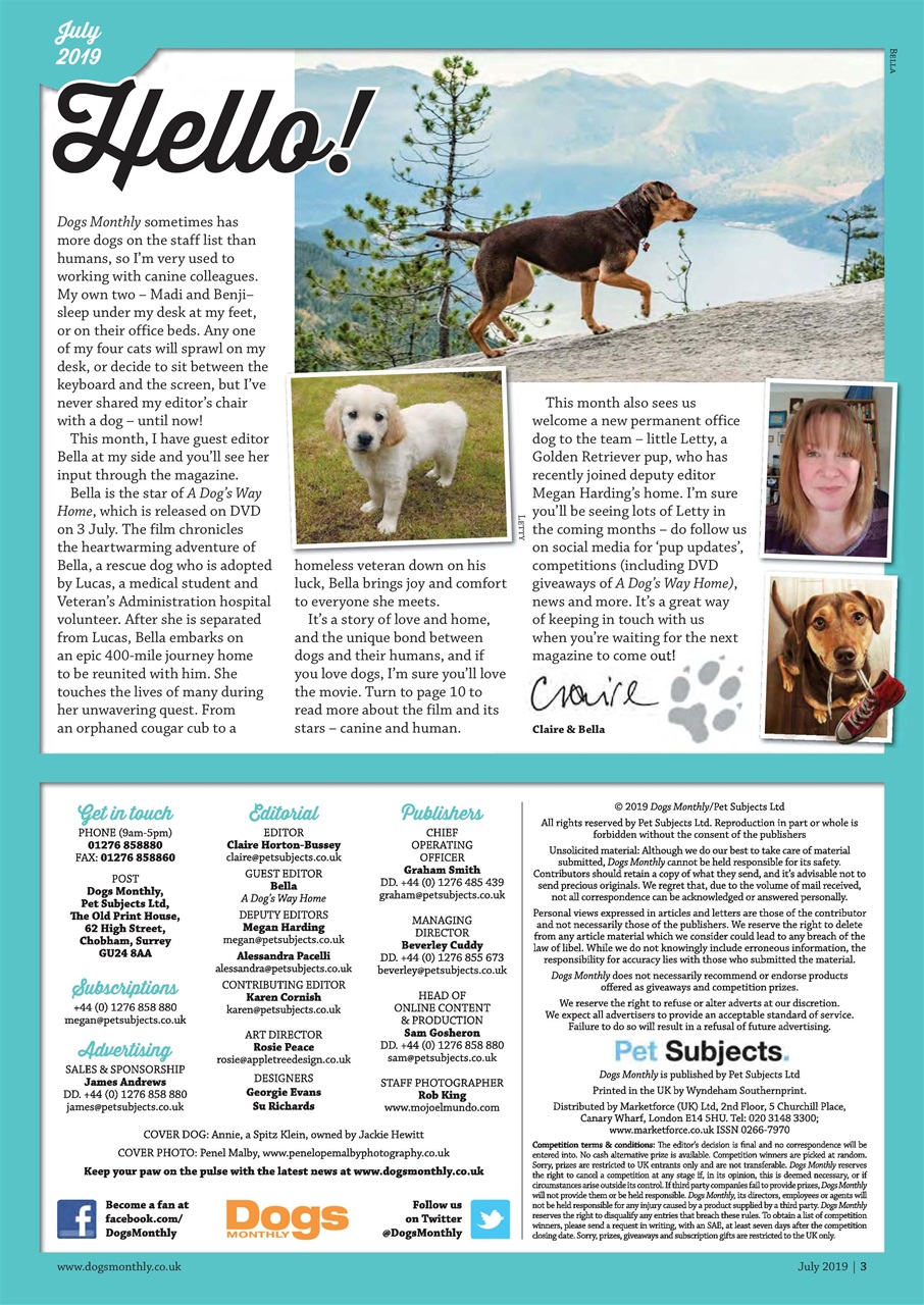 Dogs Monthly Preview Pages